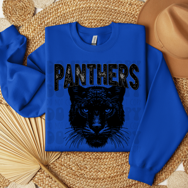 *PRE-ORDER* Panthers YOUTH - YOU CHOOSE COLOR