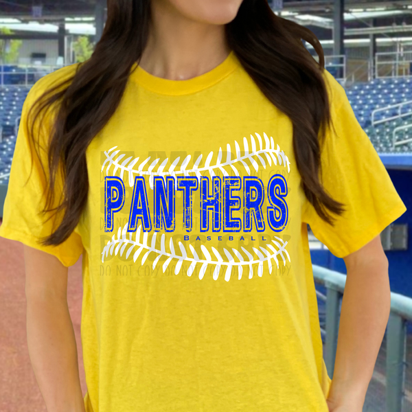 PRE-ORDER - PANTHERS BASEBALL ADULT - YOU CHOOSE COLOR